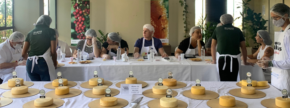 Começam as inscrições para a escolha dos melhores Queijos Artesanais de Minas Gerais em 2025